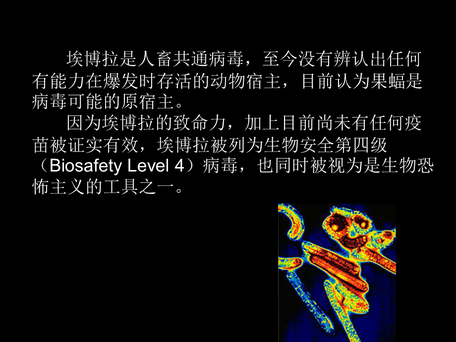 PPT埃博拉病毒(众结合)[行业材料].ppt_第3页