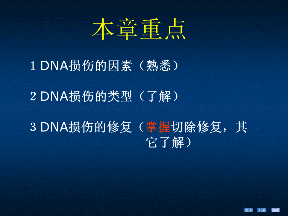 大学课件：生物化学之DNA损伤与修复.ppt_第2页