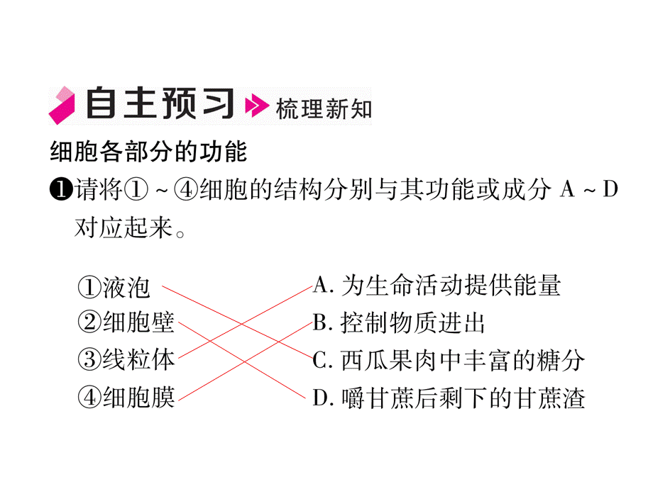 第3课时 细胞各部分的功能.ppt_第3页