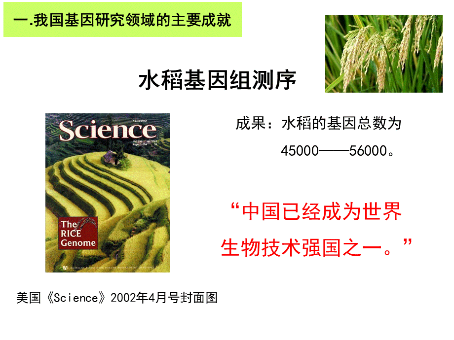 科学·技术·社会中国拥抱“基因世纪”.ppt_第2页