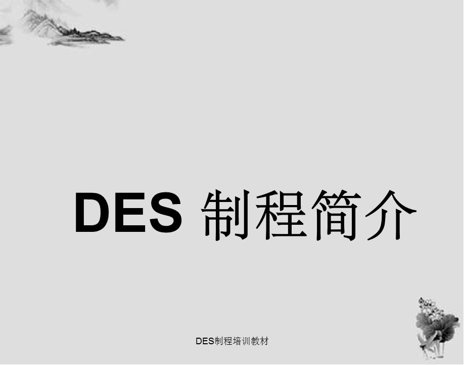 DES制程培训教材.ppt_第1页