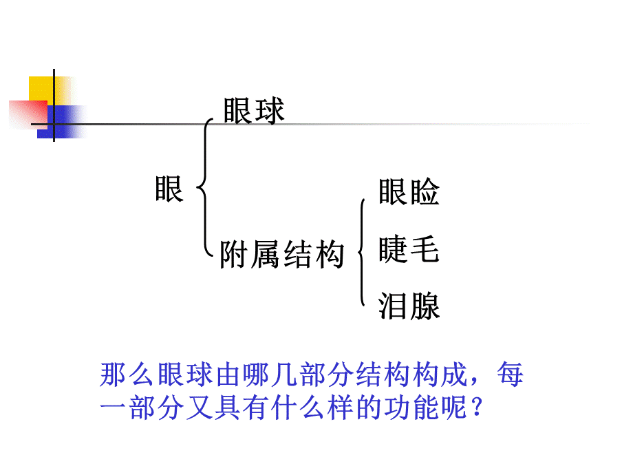 第2节感受器和感觉器官 (2).ppt_第3页