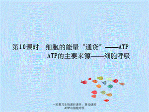 一轮复习生物课时课件：第10课时ATP与细胞呼吸.ppt