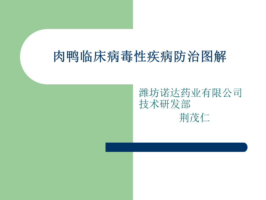 肉鸭临床疾病防治图.ppt_第1页