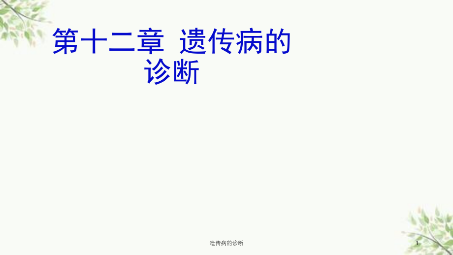 遗传病的诊断课件.ppt_第1页