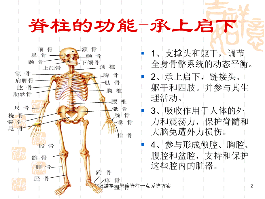 太阳神提示您给脊柱一点爱护方案课件.ppt_第2页