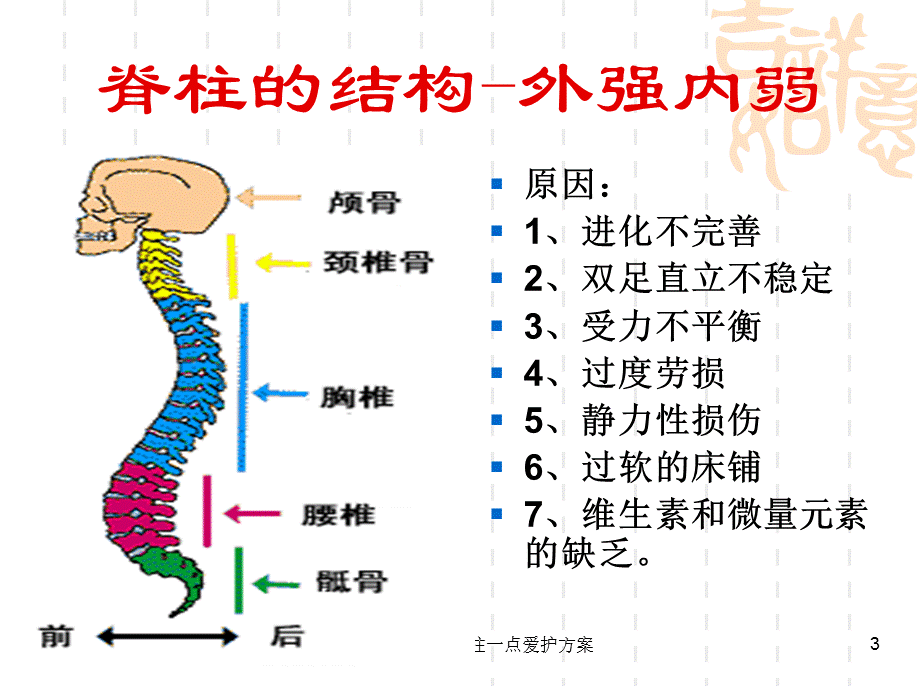 太阳神提示您给脊柱一点爱护方案课件.ppt_第3页