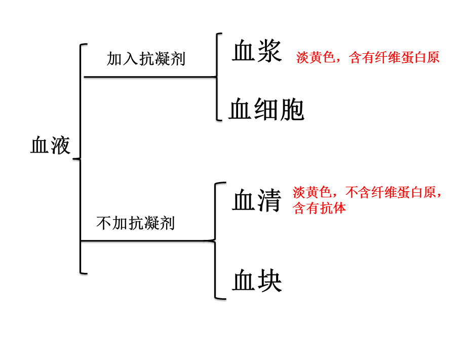 第1节人体内物质的运输 (2).pptx_第3页