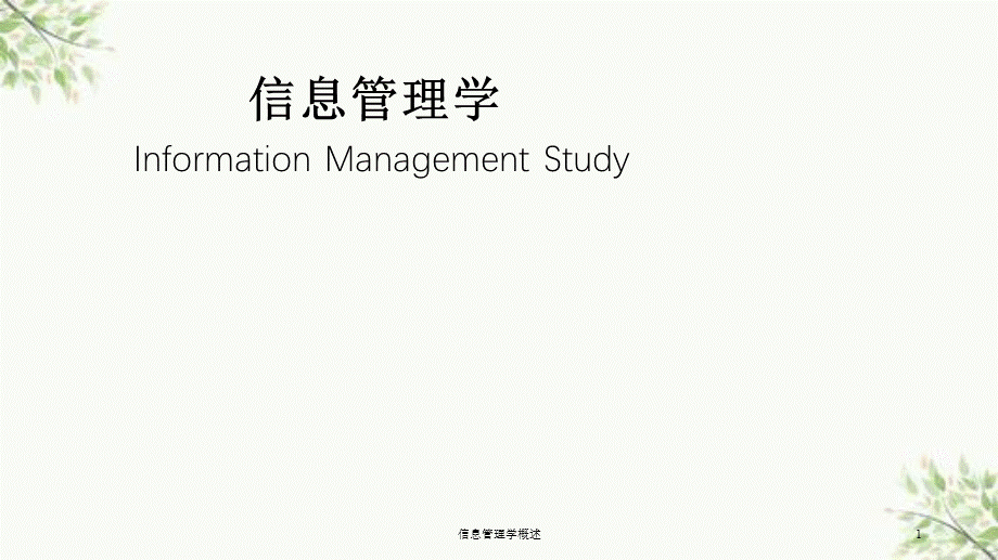 信息管理学概述课件.ppt_第1页