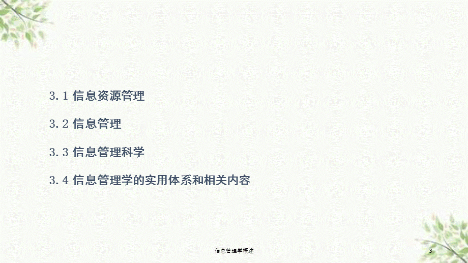 信息管理学概述课件.ppt_第3页