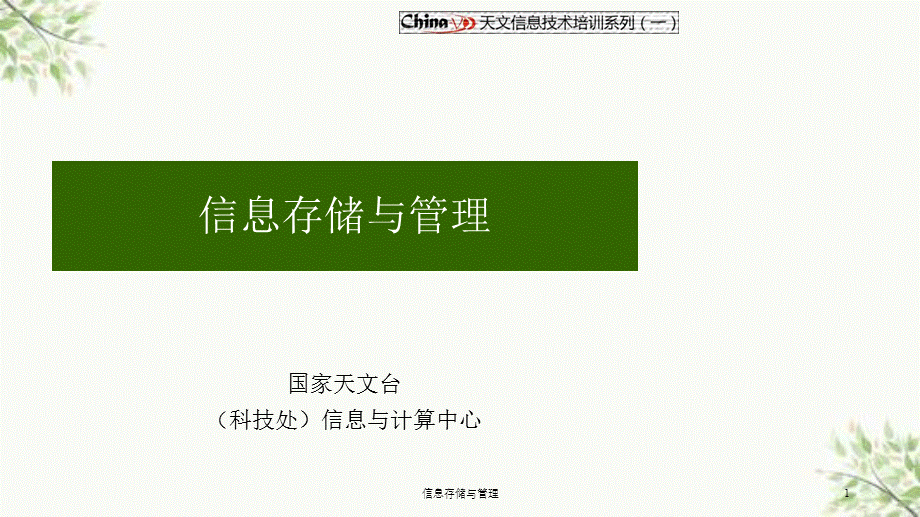 信息存储与管理课件.ppt_第1页