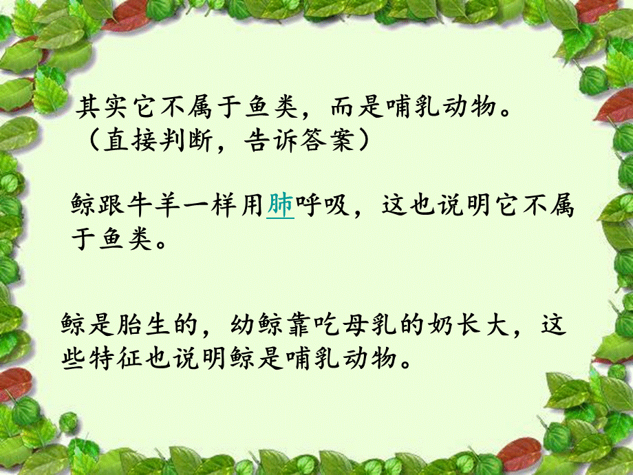 09《鲸》.ppt_第3页