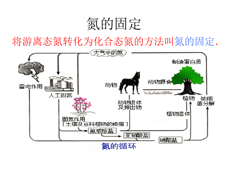 课题2　人工固氮技术──合成氨 (2).ppt_第2页