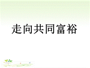 走向共同富裕 (3).ppt