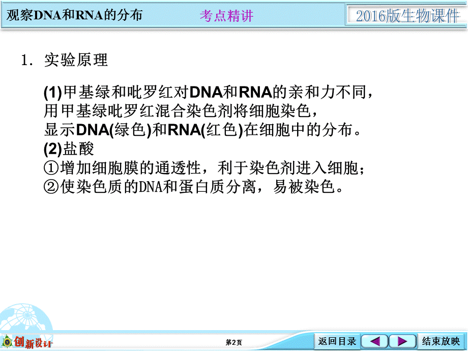 1-1-09生物实验探究类：DNA和RNA在细胞中的分布.ppt_第2页