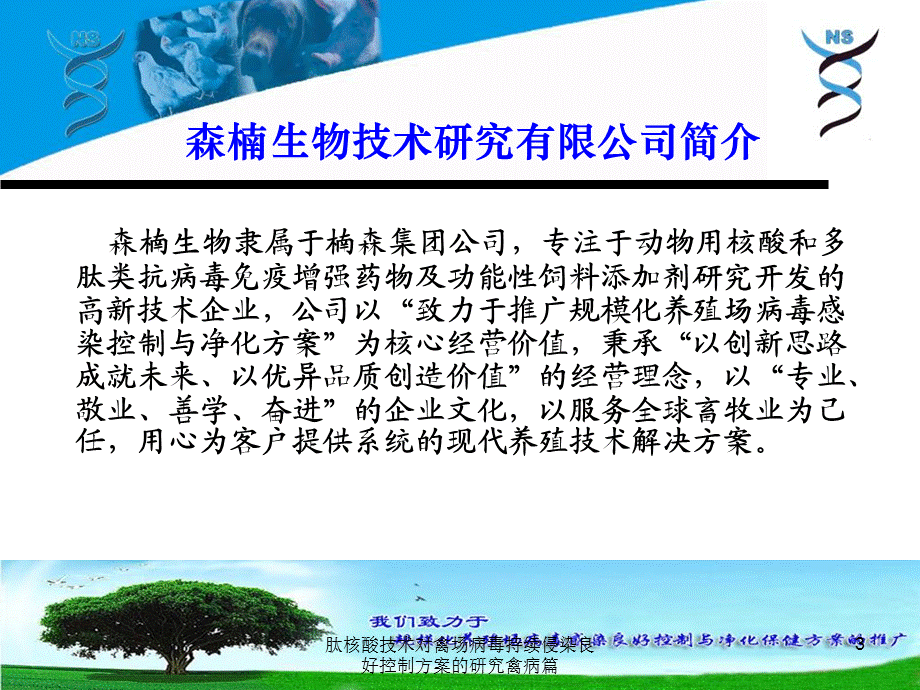 肽核酸技术对禽场病毒持续侵染良好控制方案的研究禽病篇课件.ppt_第3页