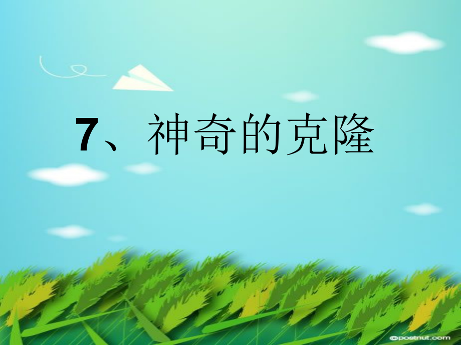 7神奇的克隆.ppt_第1页