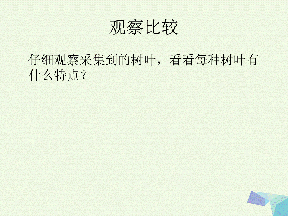 六年级数学上册 3.9 树叶中的比课件1 苏教版.ppt_第2页