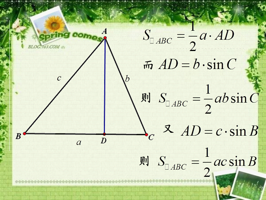 三角形面积公式.ppt_第2页