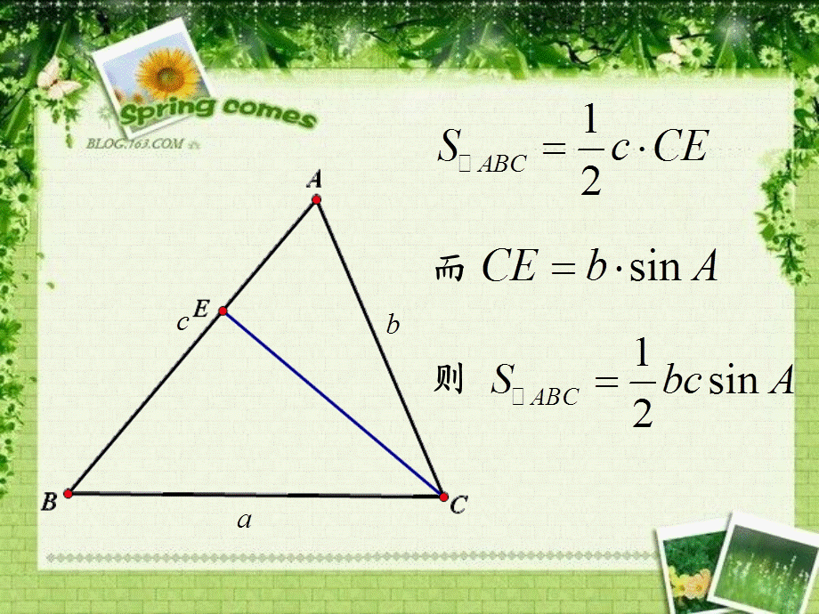 三角形面积公式.ppt_第3页