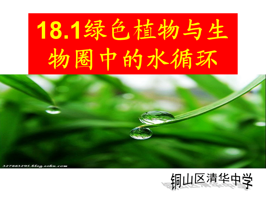 181绿色生物与生物圈中的水循环课件.ppt_第2页