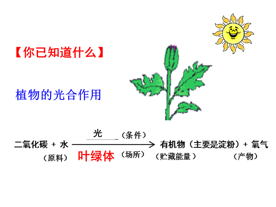 苏科版初中生物七上第三单元4.1《植物的光合作用--探究：植物进行光合作用的场所》课件.ppt_第2页