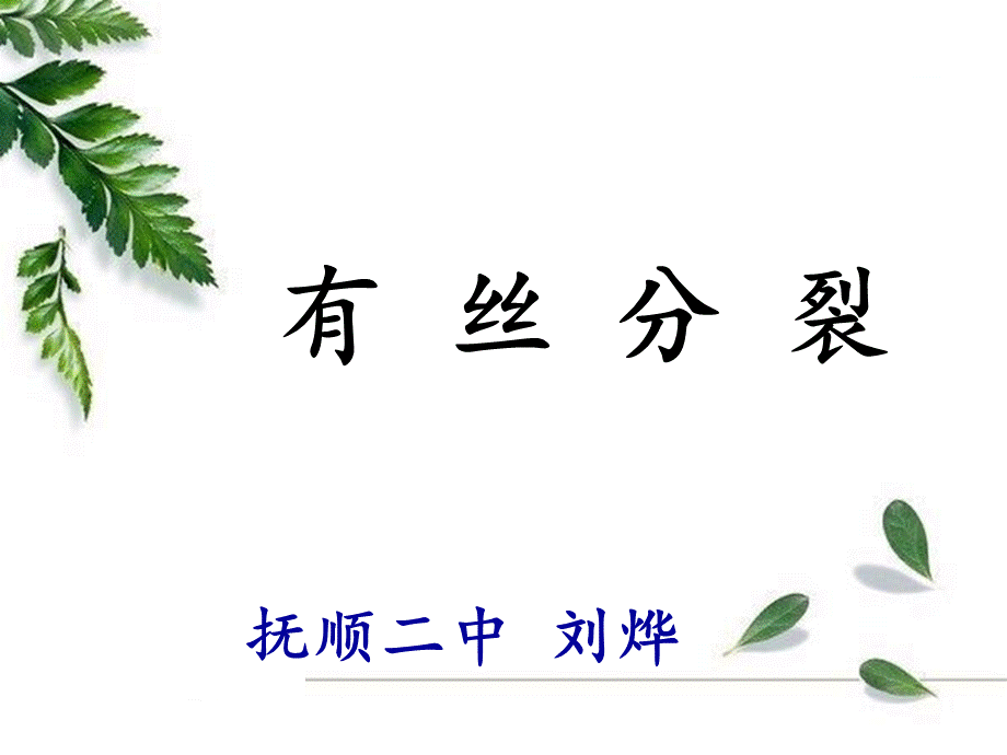 有丝分裂刘烨.ppt_第1页