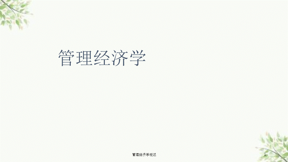 管理经济学概述课件.ppt_第1页