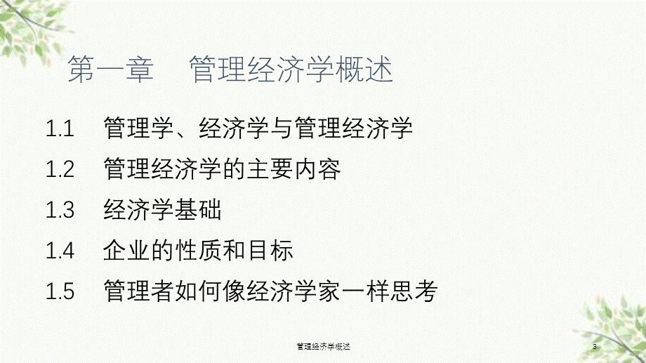 管理经济学概述课件.ppt_第3页