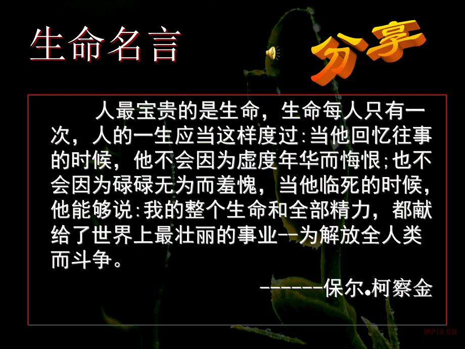 主题班会：敬畏生命.ppt_第2页