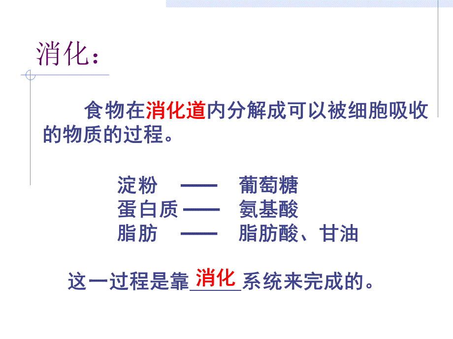 七年级下册消化和吸收.ppt_第2页