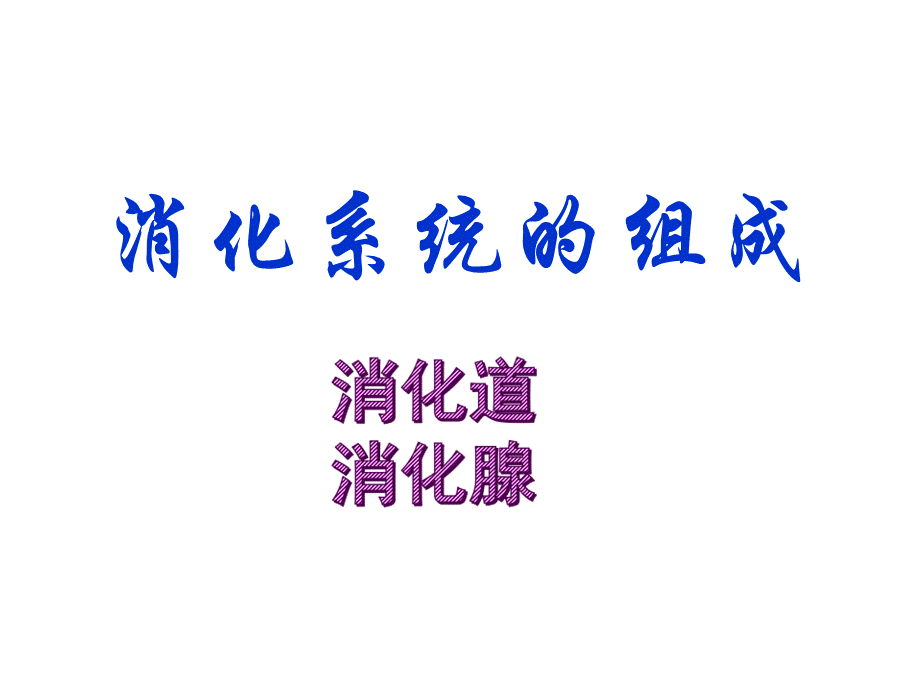 七年级下册消化和吸收.ppt_第3页