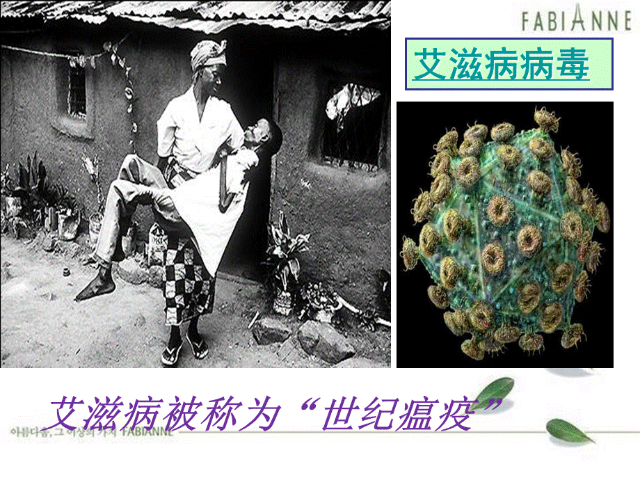 济南版七年级生物课件_病毒.ppt_第2页