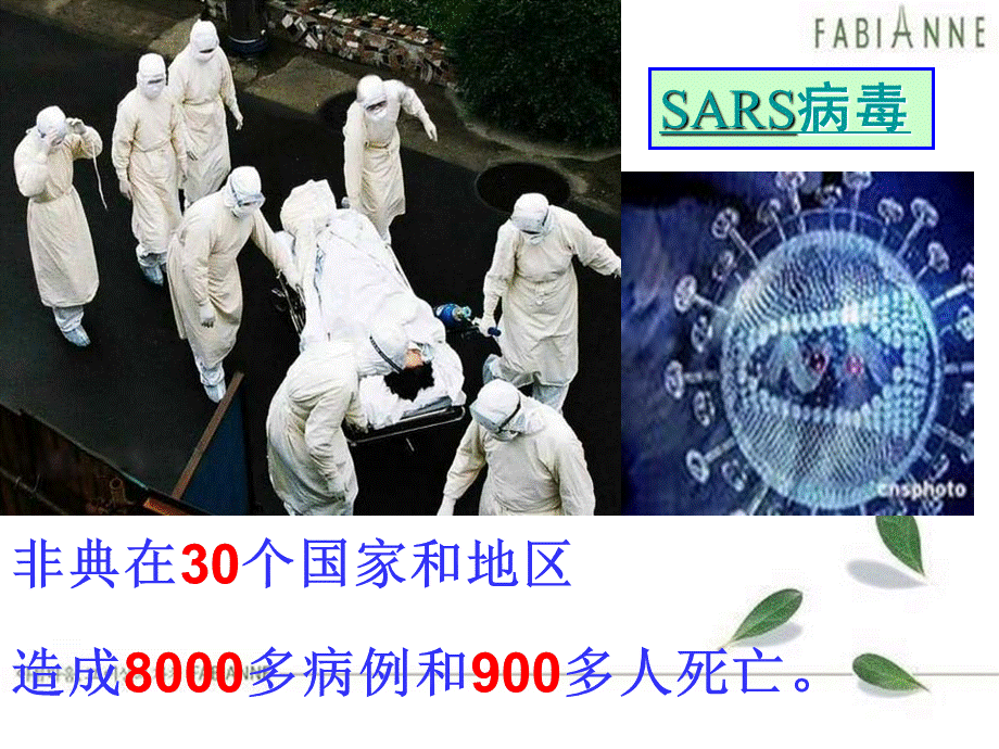 济南版七年级生物课件_病毒.ppt_第3页