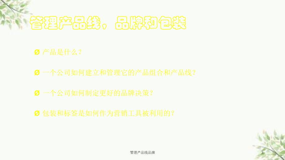 管理产品线品牌课件.ppt_第3页