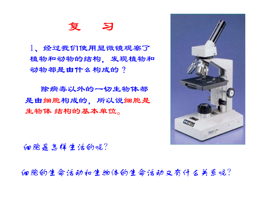 七年级生物细胞是生命活动的单位.ppt_第2页