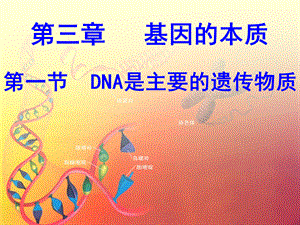 100906高二生物《DNA是主要的遗传物质》(课件).ppt