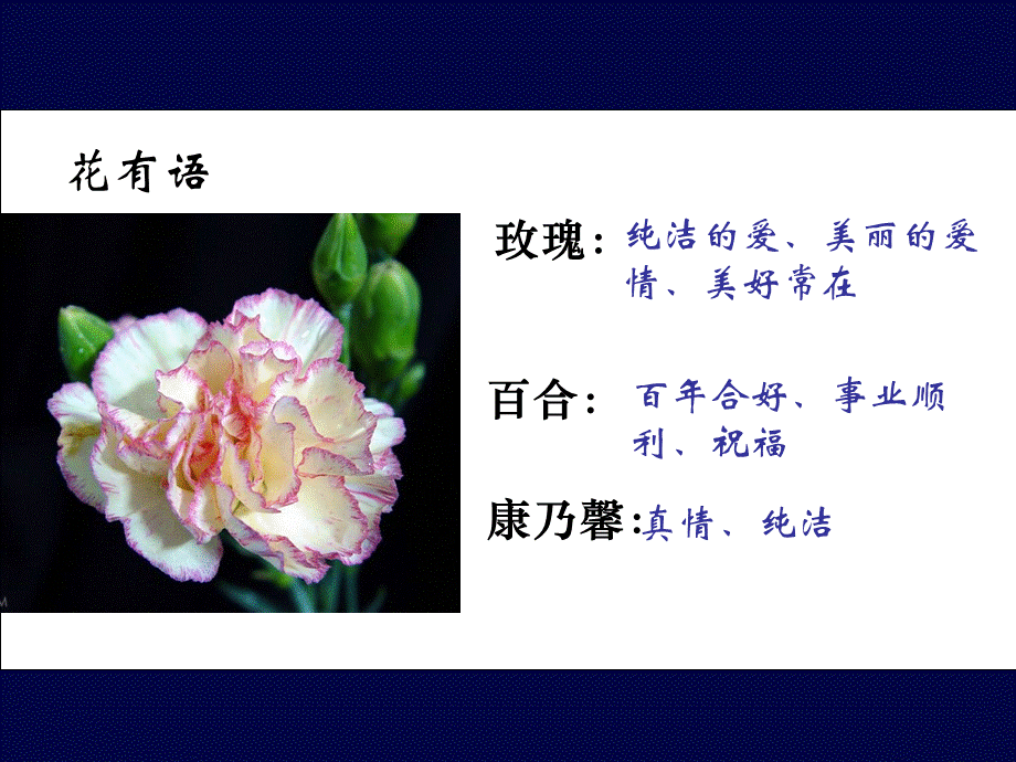 《铃兰花》课件.ppt_第1页