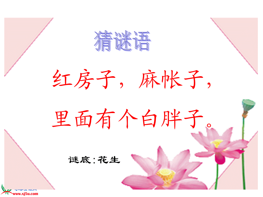 《小松鼠找花生果》课件(苏教版一年级语文下册课件).ppt_第3页