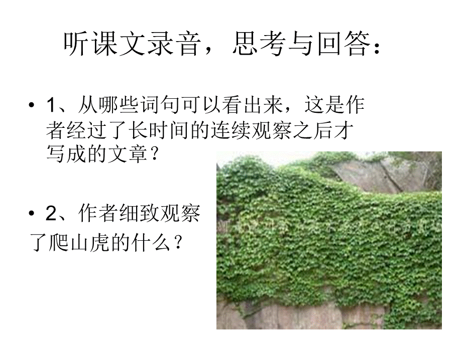 《爬山虎的脚》课件 (2).ppt_第2页