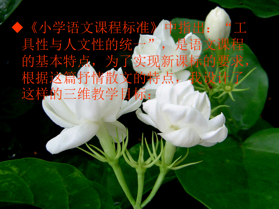 《爱如茉莉》说课2.ppt_第3页