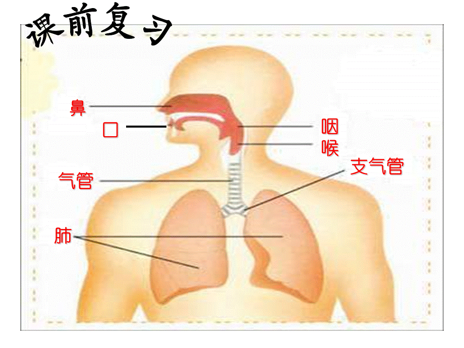 人体呼出和吸入气体的比较.ppt_第2页