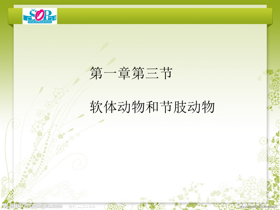 八年级生物上册软体动物课件.ppt_第1页