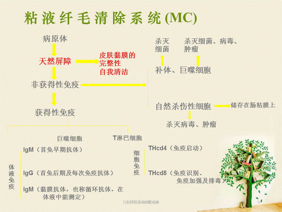 儿科呼吸系统咳嗽疾病课件.ppt_第3页