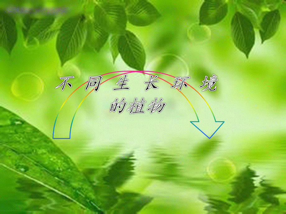 不同生长环境的植物.ppt_第1页