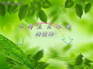 不同生长环境的植物.ppt