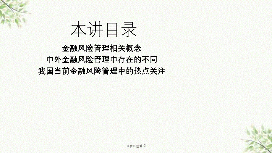 金融风险管理课件.pptx_第2页