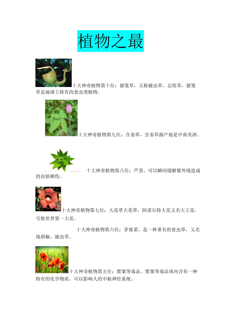 植物之最.docx_第1页