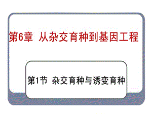 61杂交育种与诱变育种12用.ppt