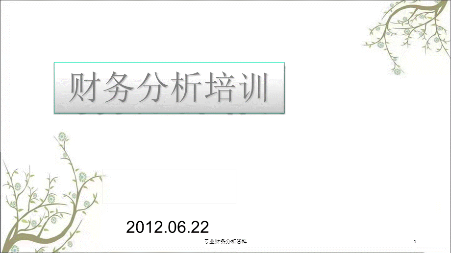 专业财务分析资料课件.ppt_第1页